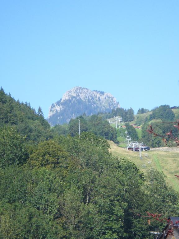 Heidinger Daire Oberaudorf Dış mekan fotoğraf